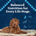Blue Buffalo Wilderness High-Protein Natural Dry Food for Puppies, Salmon Recipe, 4.5-lb. Bag