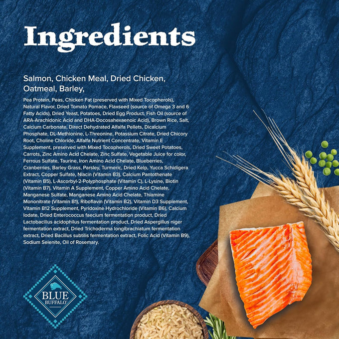 Blue Buffalo Wilderness High-Protein Natural Puppy Food Salmon Recipe 4.5-lb Bag