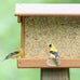 Morning Song clean & free shell bird food, premium no mess seed for outdoor feeders, 10-pound bag