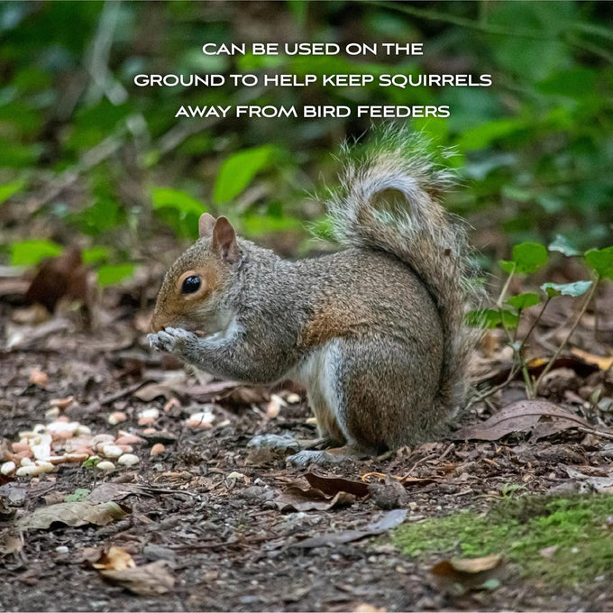 Pennington 100% Shelled Peanut Pieces, 5 pounds, Excellent Wildlife Attraction and Energy Source