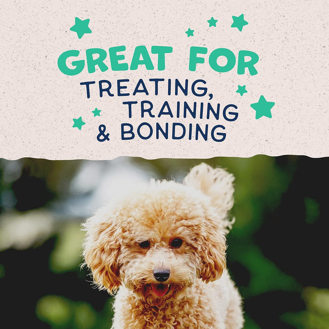 Natural Balance Limited Ingredient Mini-Rewards Chicken Grain-Free Dog Training Treats 5.3-oz Canister