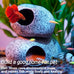 ameliade medium aquarium decorations ceramic cave fish tank accessories rock decor for small fish
