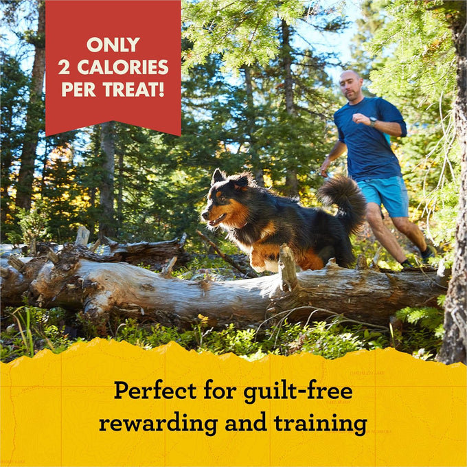 Zuke's Mini Naturals, 16 oz Resealable Pouch, Dog Training Treats with Real Salmon for Small to Large Dogs