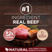 Purina ONE Natural High Protein Dry Dog Food with Real Beef, Salmon, and Bone Broth - 15 lb Bag