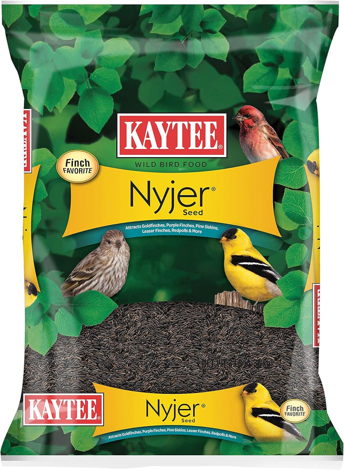 Kaytee Nyjer wild bird food seed, 3-pound, no hulls, 100% edible, high oil content, attracts finches and songbirds