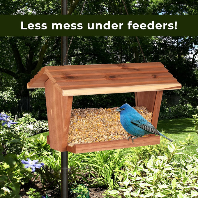 Kaytee Wild Bird No Mess or Waste Free Seed Blend for Blue Jays Woodpeckers and More 10 Pound