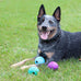 Chew King 3 inch natural rubber fetch balls durable dog toy pack of 3