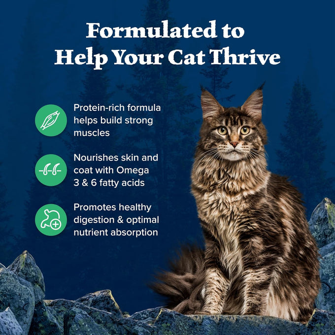 Blue Buffalo Wilderness Duck High-Protein Grain-Free Dry Cat Food for Adults, 5-lb Bag