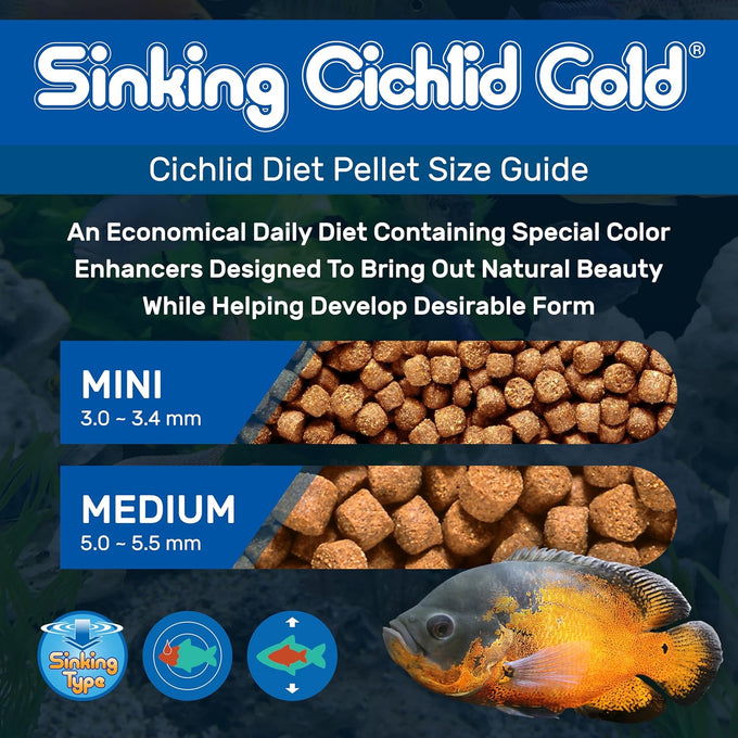 Hikari 2.2-Pound Sinking Cichlid Gold Pellets for Pets, Mini - High Protein, Vitamin Rich Food
