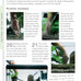 Aquamaster freshwater aquarium setup guide paperback companionhouse 2007