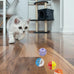 Fashion's Talk 12PCS Value Pack Plastic Ball Cat Toys Lattice Balls with Bell Jingle Kitten Toy, 6 Styles, 1.5"