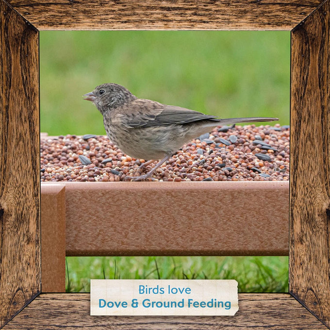 Morning Song Dove & Ground Feeding Wild Bird Seed, 12 lb for Dove, Quail, Pigeon & Songbirds Outside Feeders