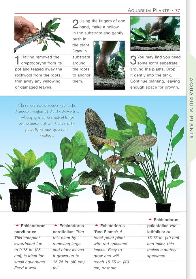 Aquamaster freshwater aquarium setup guide paperback companionhouse 2007