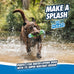 chuckit! amphibious bumper fetch stick toy for medium dogs - floats in water - interactive dog toys