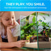 Fishnosh Aquarium Cave | BPA-free wood-like fish tank hideout for corners, 5.1" x 2" x 2.7"