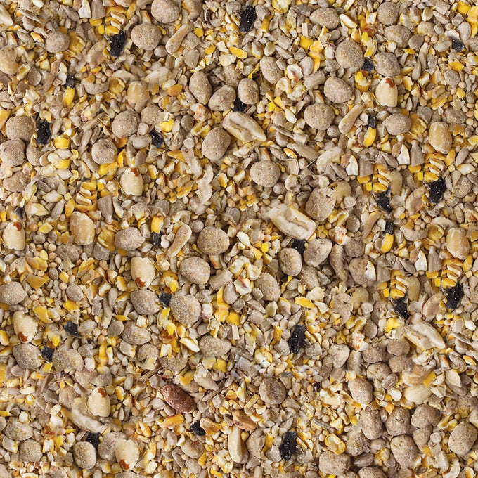 Kaytee blueberry flavored no mess bird seed blend, 10 pounds for tube, hopper, or platform feeders