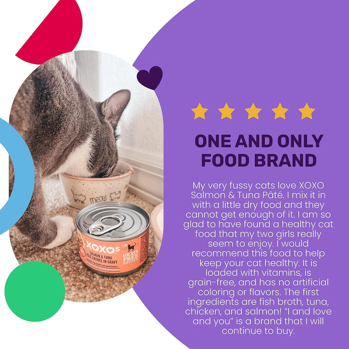 I and Love and You grain free salmon tuna pate wet cat food 3oz 24 pack