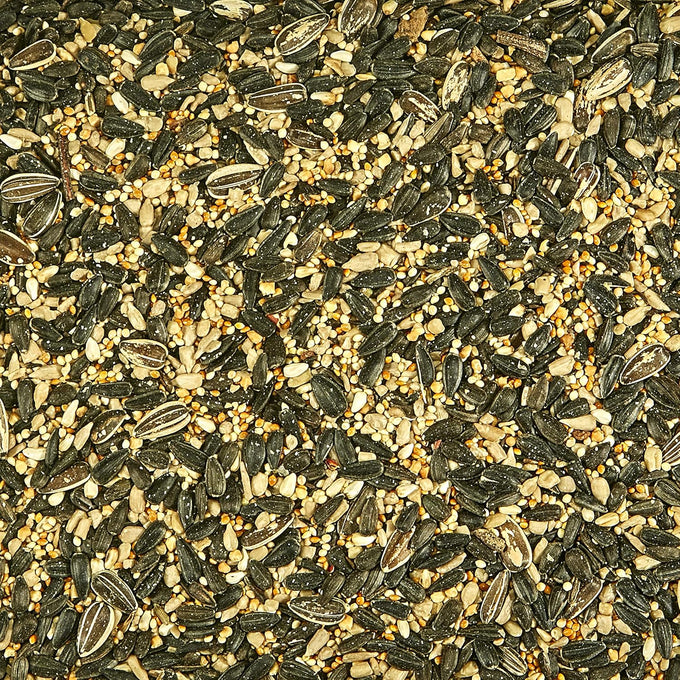 kaytee northeast regional wild bird blend, 7-pound bag, 3-to-1 preferred by songbirds nationwide