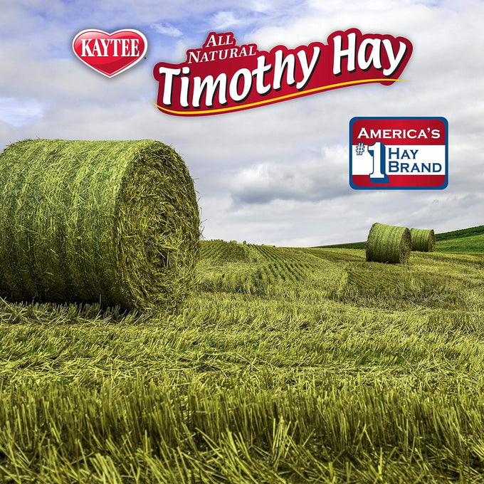 Kaytee timothy hay plus carrots for guinea pigs rabbits and small animals, 24 oz