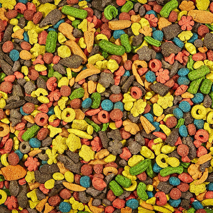 kaytee exact rainbow food for large parrots, 4 lb, premium extruded nutrition