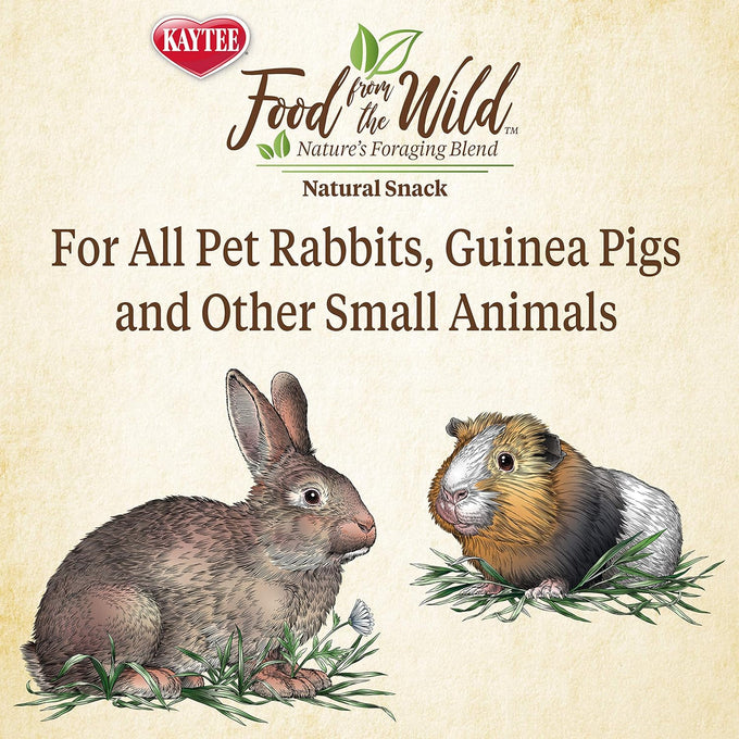 Kaytee Food from The Wild Natural Snack for Pet Rabbits, 1 Ounce, No Added Sugars or Fillers