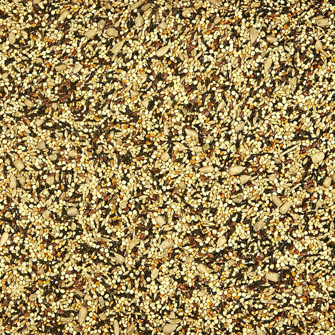 Kaytee Wild Finch Food Blend, 3 lb, sunflower chips, small grains, high-energy seeds, finches, year-round diet
