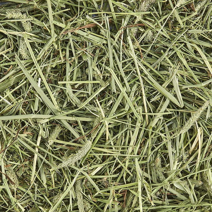 Kaytee Timothy Hay, High Fiber, Farm Fresh for Small Pets, Rabbits, Guinea Pigs, Chinchillas, 48 Ounces