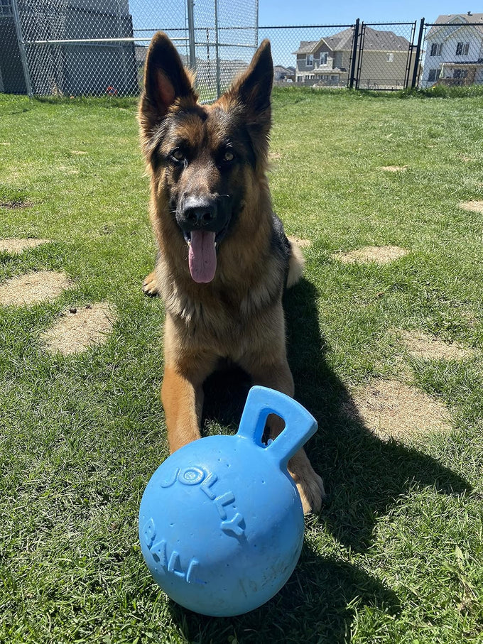Jolly Pets Tug-n-Toss heavy duty dog toy ball with handle, 8 inches, large size, blueberry color