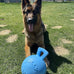 Jolly Pets Tug-n-Toss heavy duty dog toy ball with handle, 8 inches, large size, blueberry color