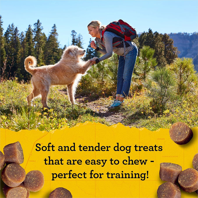 Zuke's Mini Naturals, 16 oz Resealable Pouch, Dog Training Treats with Real Salmon for Small to Large Dogs
