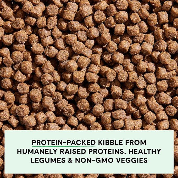 Open Farm, Grain-Free Dry Dog Food for Puppies, Protein-Packed Kibble, Sustainably & Ethically Sourced Ingredients, Non-GMO Veggies & Superfoods, Salmon & Sweet Potato Puppy Recipe, 4lb Bag