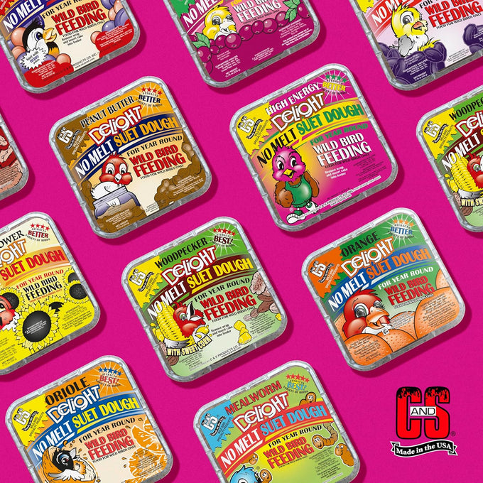 C&S high energy delight no melt suet dough pack of 8 for woodpeckers nuthatches chickadees.