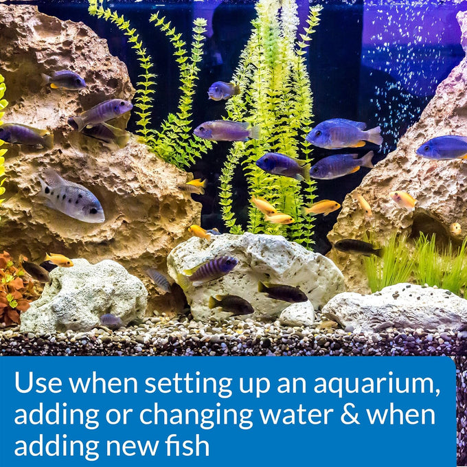 API Stress Coat Aquarium Water Conditioner 16-Ounce Bottle Tap Water Safe for Fish