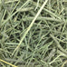 Oxbow Western Timothy Hay for Small Pets - High Fiber for Digestive Health and Dental Support - 40 oz Bag - All-Natural Grass Hay for Rabbits Guinea Pigs Chinchillas