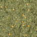 Kaytee 1 oz Bird Greens Treat for All Pet Birds, Rich in Vitamins and Omega 3s, 1-Ounce Pack
