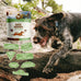 Smart Cookie All Natural Soft Dog Treats: Duck & Squash Grain Free Training Treats, Human-Grade, Made in USA, 5oz Bag