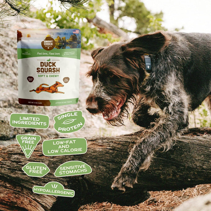 Smart Cookie All Natural Soft Dog Treats: Duck & Squash Grain Free Training Treats, Human-Grade, Made in USA, 5oz Bag