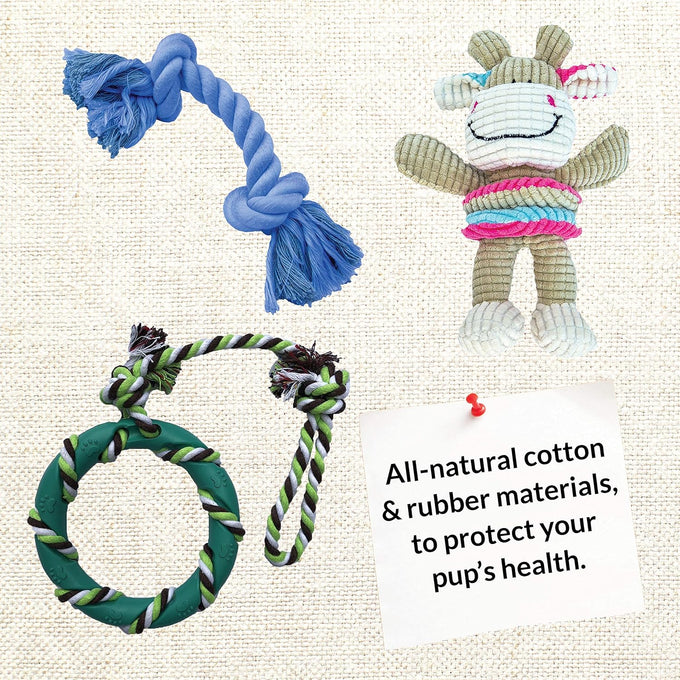 rocket & rex natural rubber and cotton dog chew toy set for small breeds, 6 pack assortment toy bundle