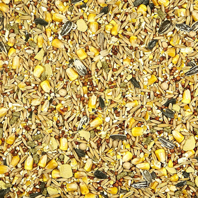 KAYTEE 5-Pound Backyard Wildlife Food Blend for Squirrels, Chipmunks, Rabbits, and More