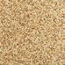 Wild Harvest Daily Blend Nutrition Diet for Parakeet, Canary & Finch, 10 Pounds, Orange Flavor