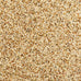 Wild Harvest Daily Blend Nutrition Diet for Parakeet, Canary & Finch, 10 Pounds, Orange Flavor