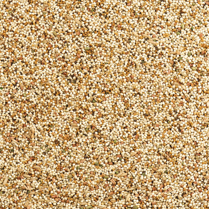 Wild Harvest Daily Blend Nutrition Diet for Parakeet, Canary & Finch, 10 Pounds, Orange Flavor