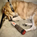 Nestpark Doggy Doobie plush squeaky toy for medium, small, and large dogs cool stuffed gift