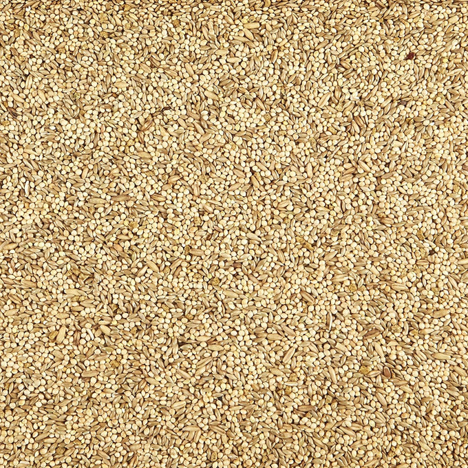 Kaytee supreme parakeet food for pet birds, 20 pounds natural seed and grain nutrition