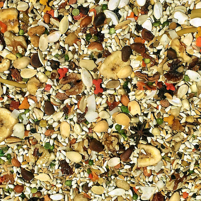 Volkman Avian Science African Grey Parrot Food, 8lb, Triple-Cleaned Purity, Balanced Nutrition
