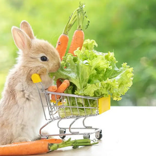 Rabbit food
