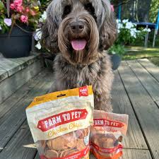 Dog Treat